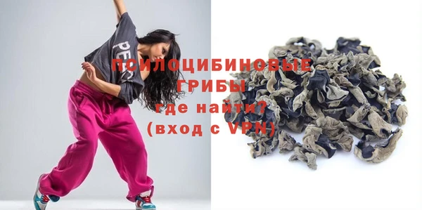 ешки Аркадак