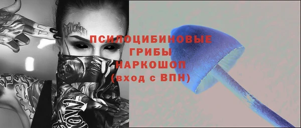 ешки Аркадак