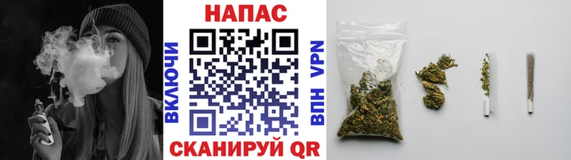 МАРИХУАНА SATIVA & INDICA  что такое   блэк спрут tor  Ревда 